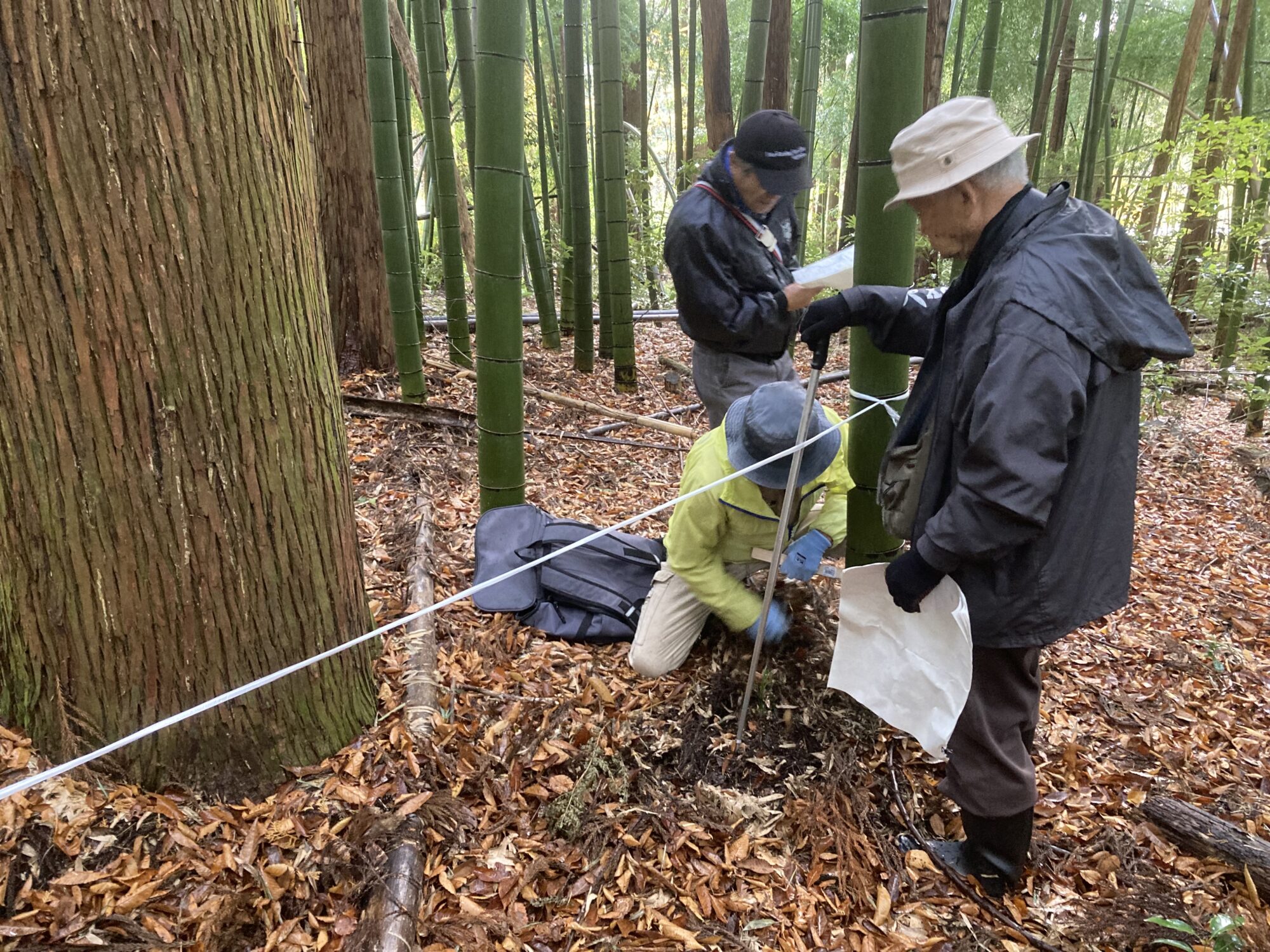 【現地レポート】系統用蓄電池所建設予定地の境界確認を行いました